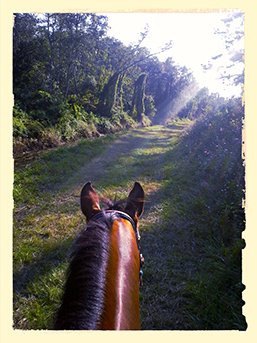 Jade Meadows Stables-圣克劳德必去景点