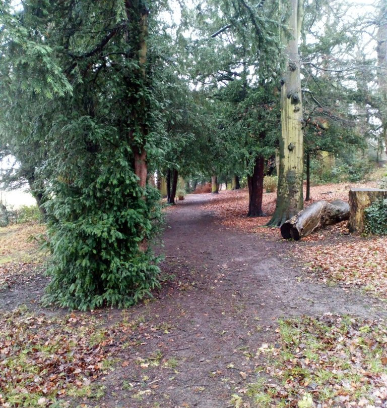 Braunstone Park景点图片