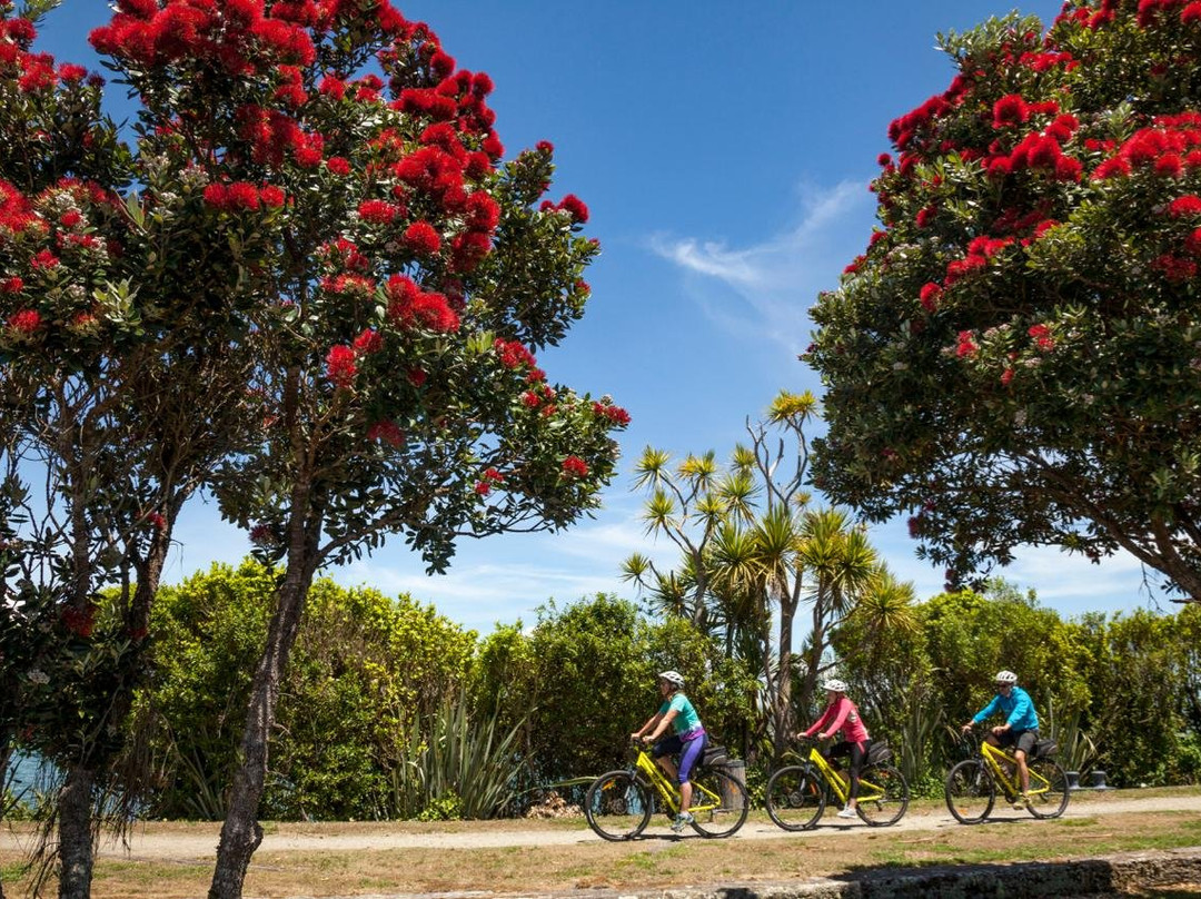 Cycle Journeys West Coast景点图片