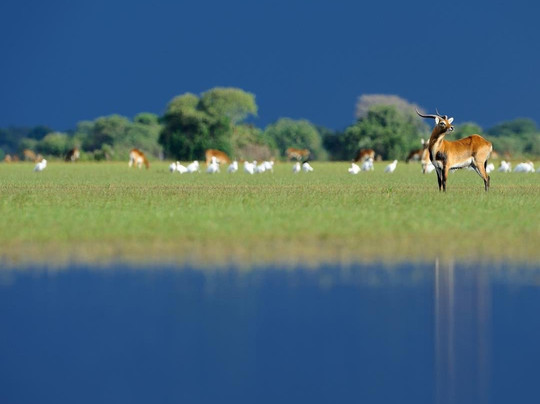 1000 Hills Safaris-吉佳利必去景点