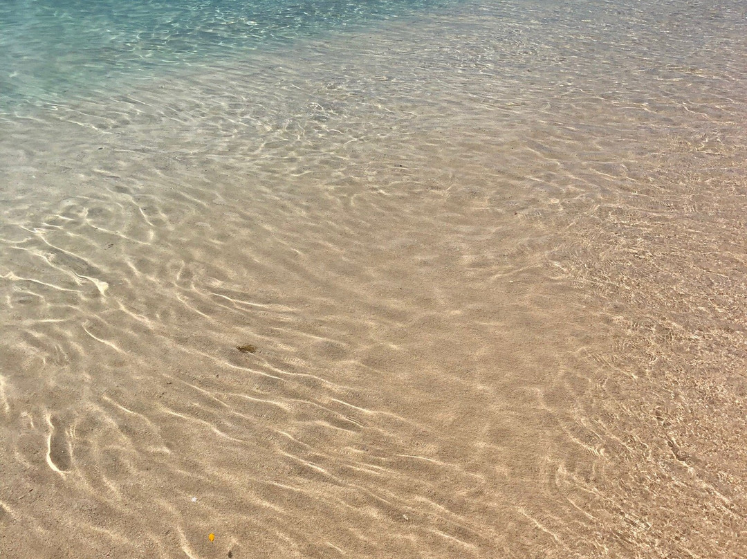 Notre Dame de Guadaloupe-Pointe-a-Pitre必去景点