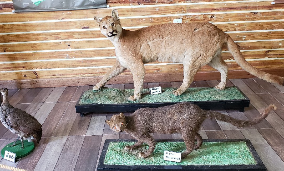 Parque Estadual Porto Ferreira-Porto Ferreira必去景点