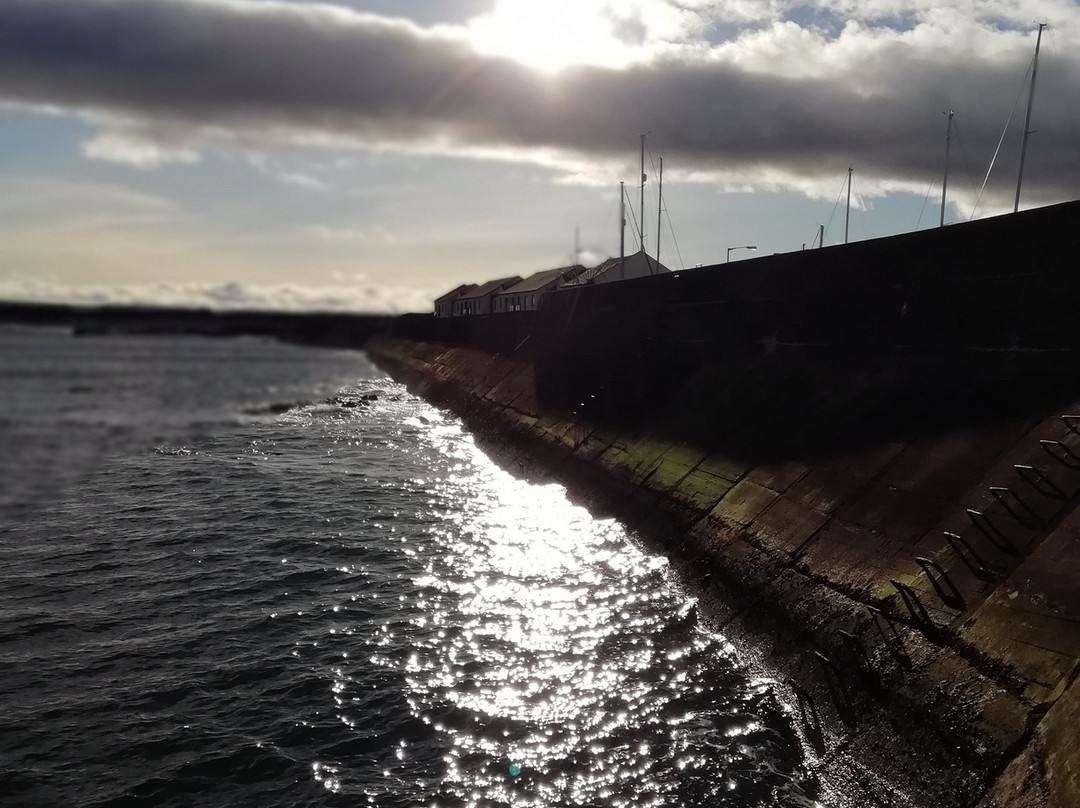 Lossiemouth Marina景点图片