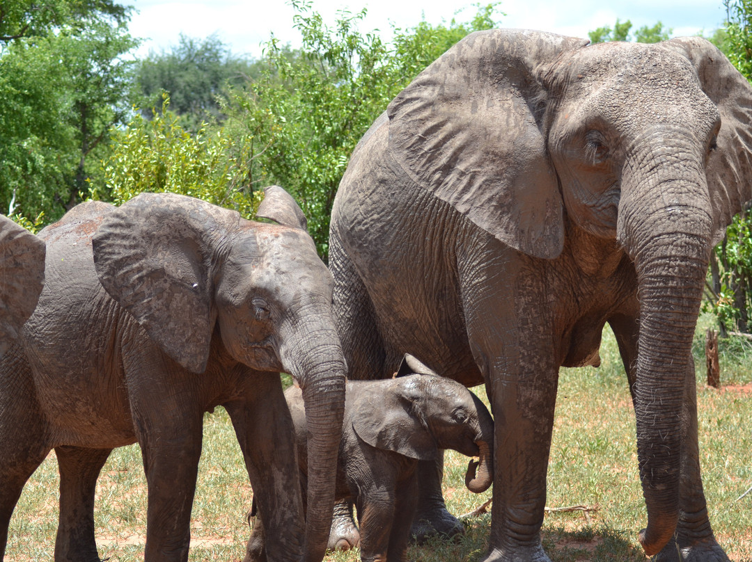 Muizenberg Tours and Travel-开普敦中心区必去景点