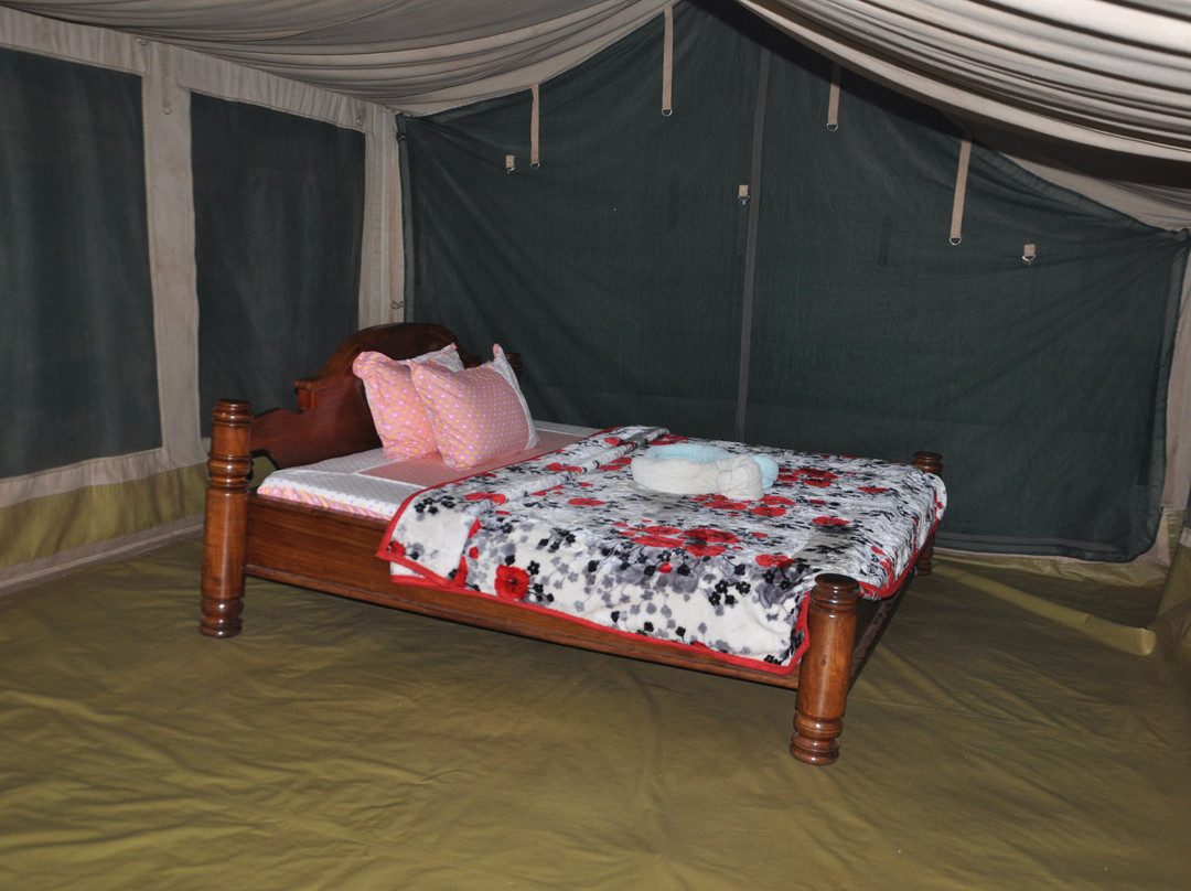 Kizumba Camp Site