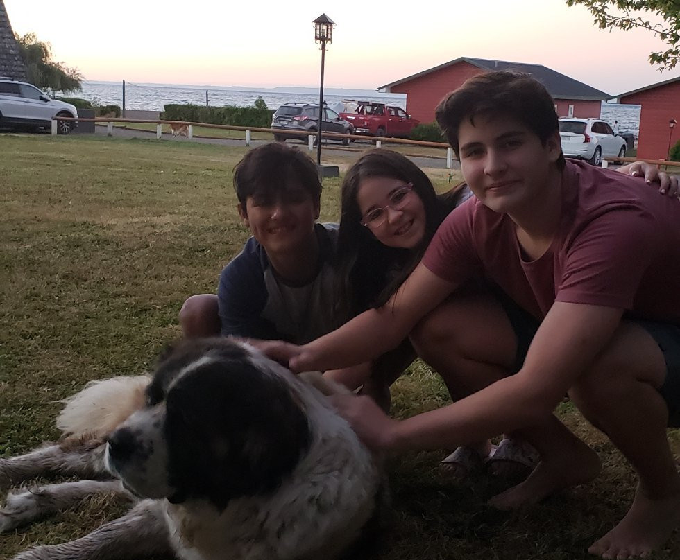 Cabanas y Piscina Rucamalen主图