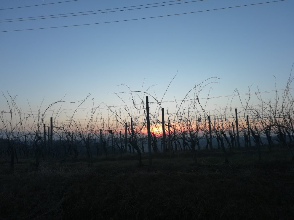 Vino Kupljen-Ivanjkovci必去景点