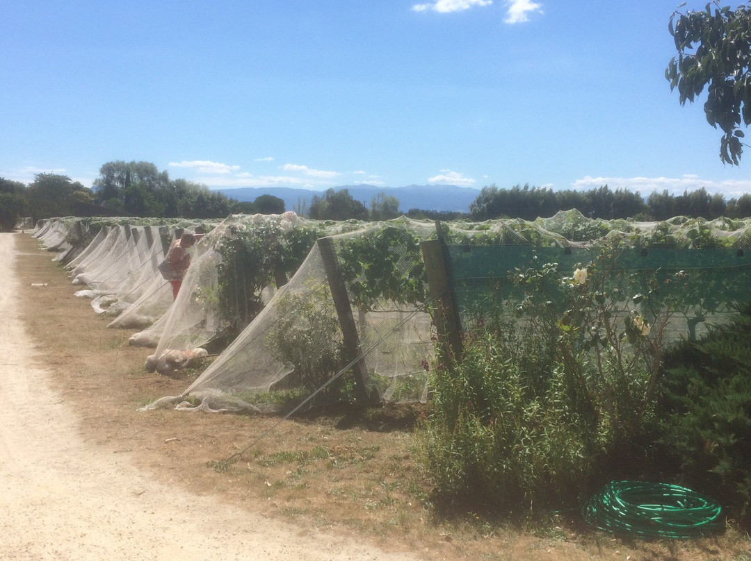 Vynfields-马丁堡必去景点