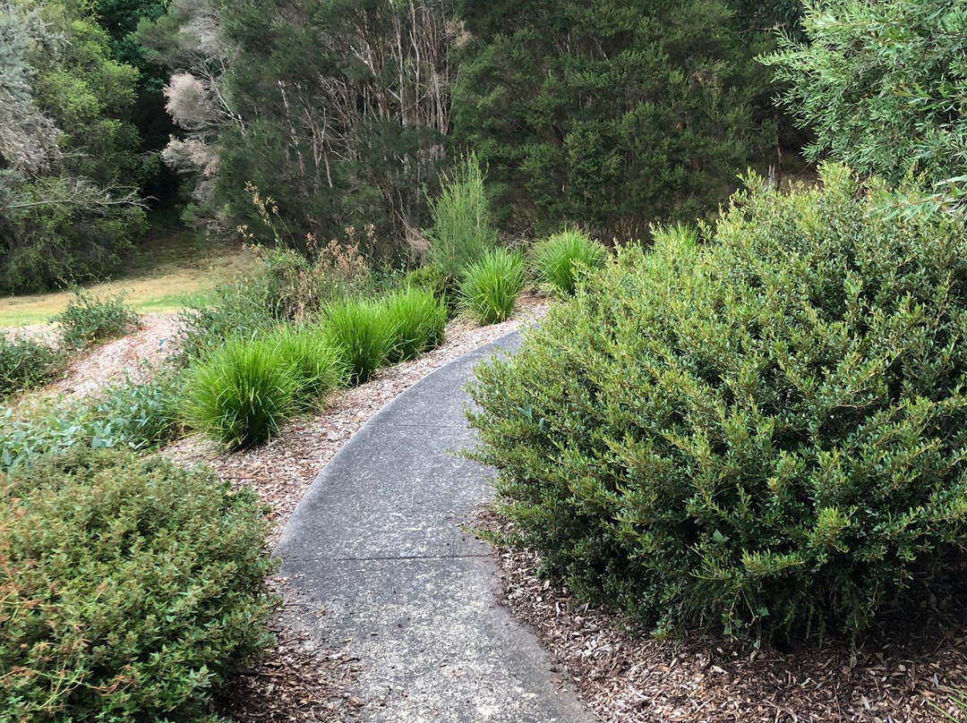 Kongwak Market-Kongwak必去景点