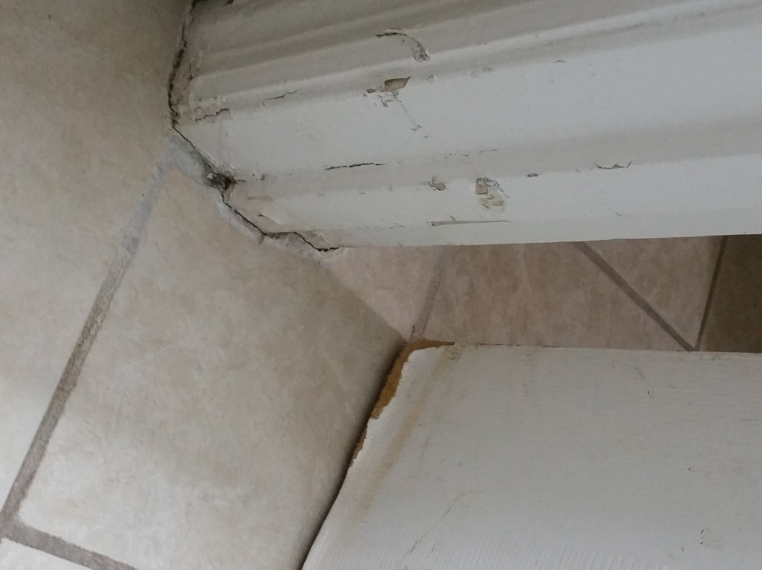 Super 8 by Wyndham Locust Grove主图