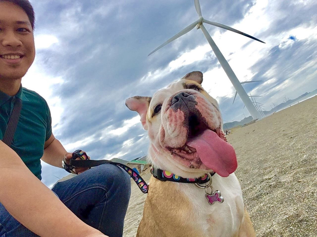 Bangui Windmills-帕古普必去景点