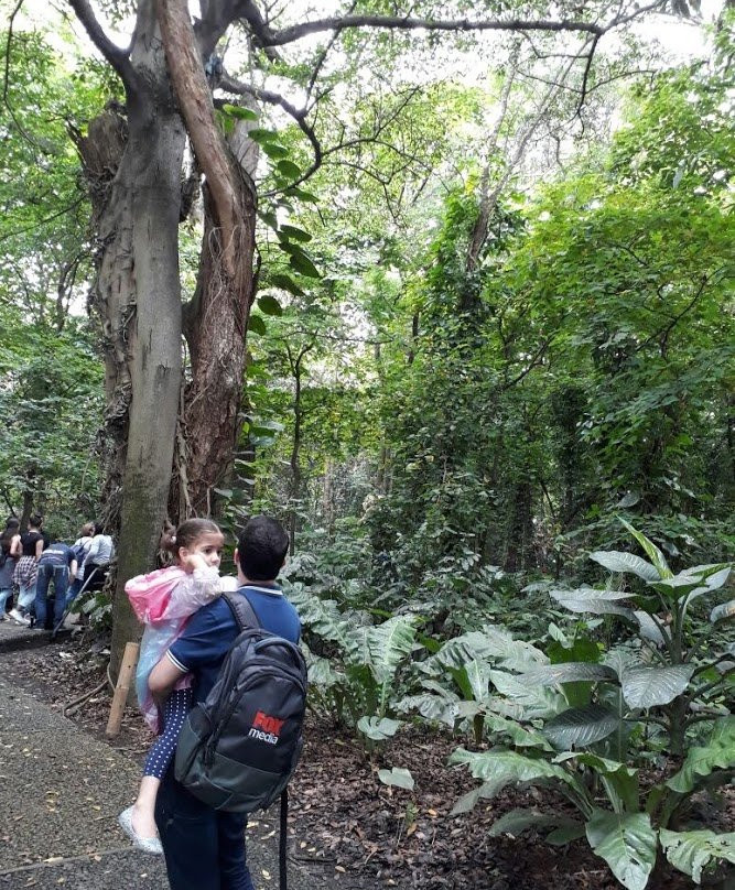 Jardín Botánico de Medellín-麦德林必去景点