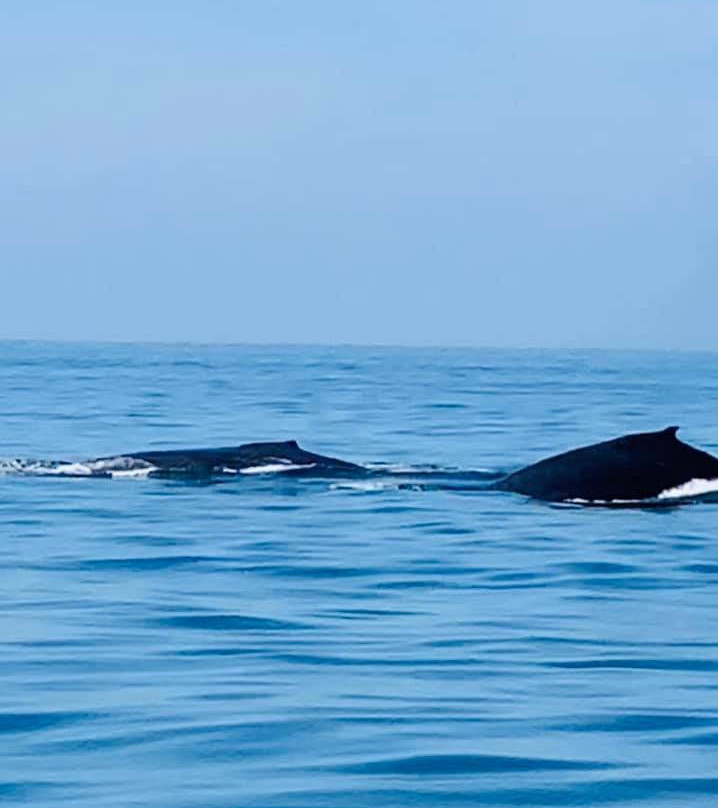 Starboard Yachts-瓦拉塔港必去景点