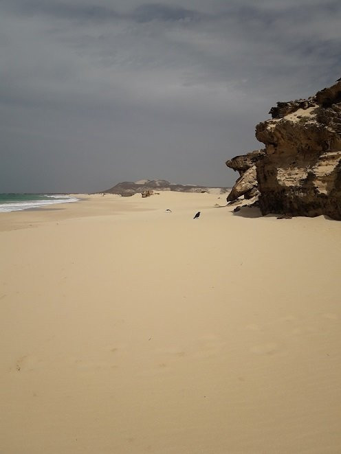 Spiaggia Di Curralinho-博阿维斯塔必去景点