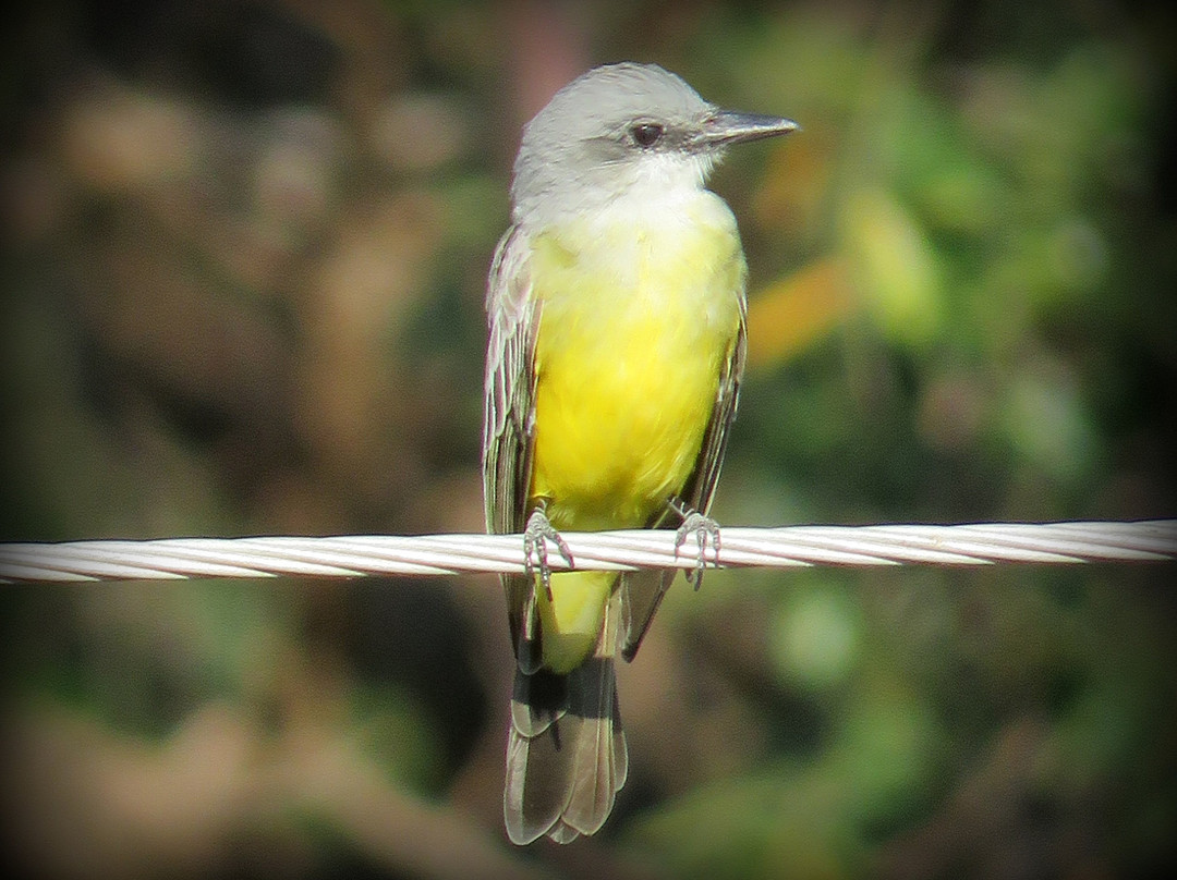 SamaraChilloutLodge主图