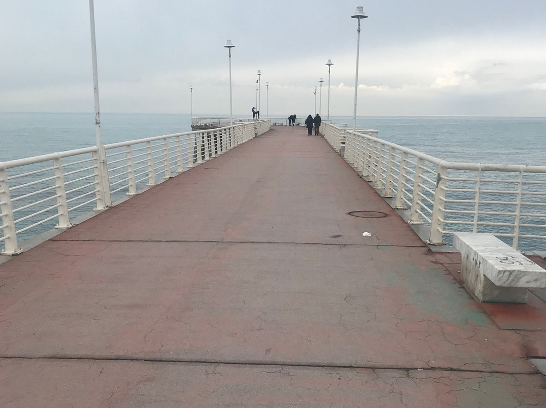 Pontile di Marina di Massa-Marina di Massa必去景点