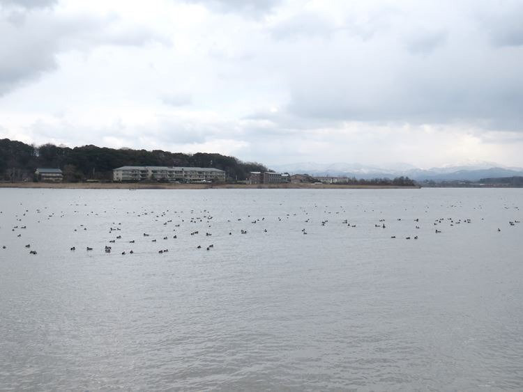 Shibayamagata景点图片