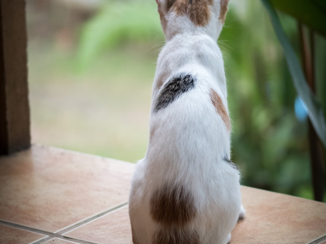 Cabinas Jimenez主图