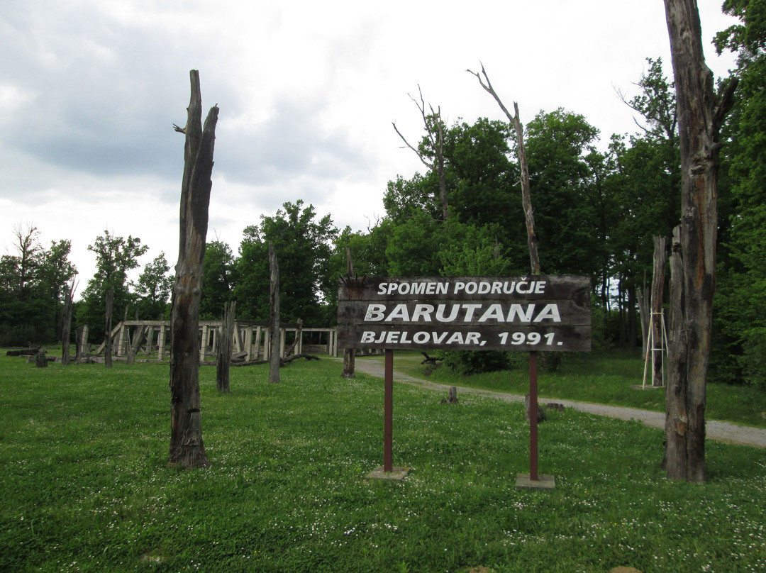 Memorial of Barutana景点图片