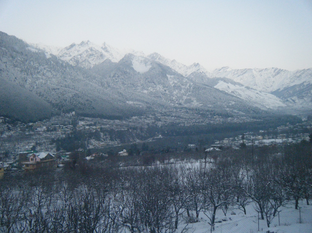 The Whitestone Resorts主图