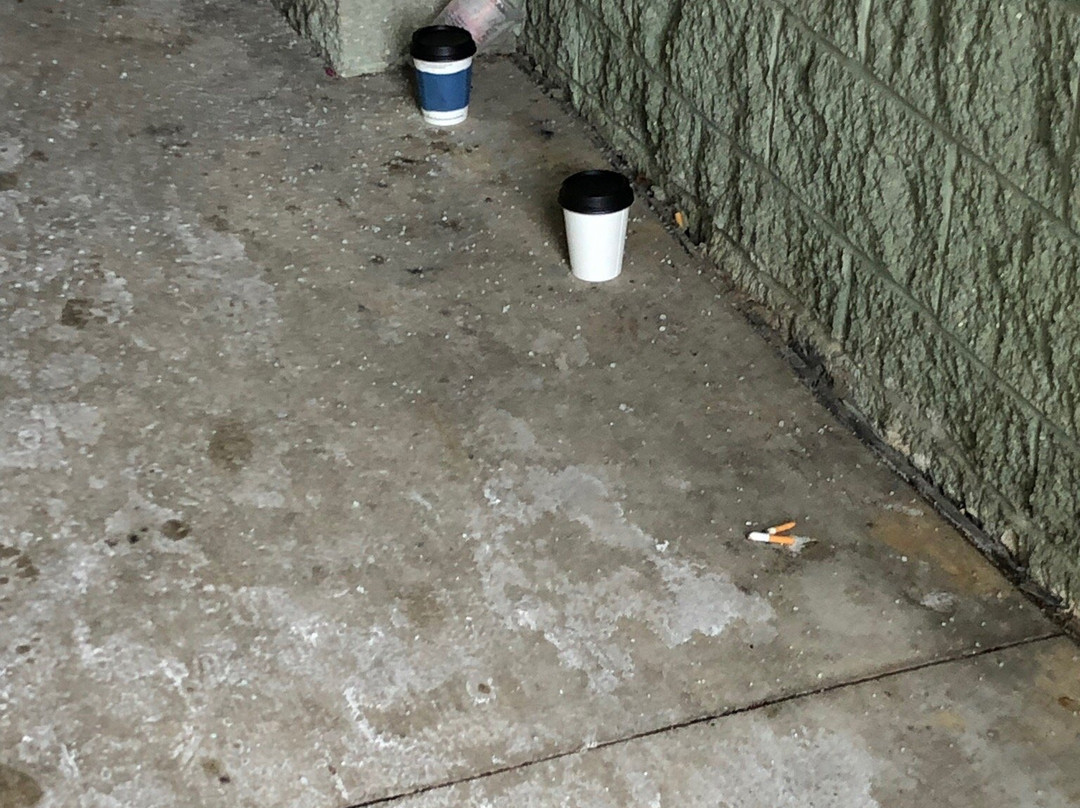 Surfari Joe's Indoor Wilderness Water Park-Watervliet必去景点