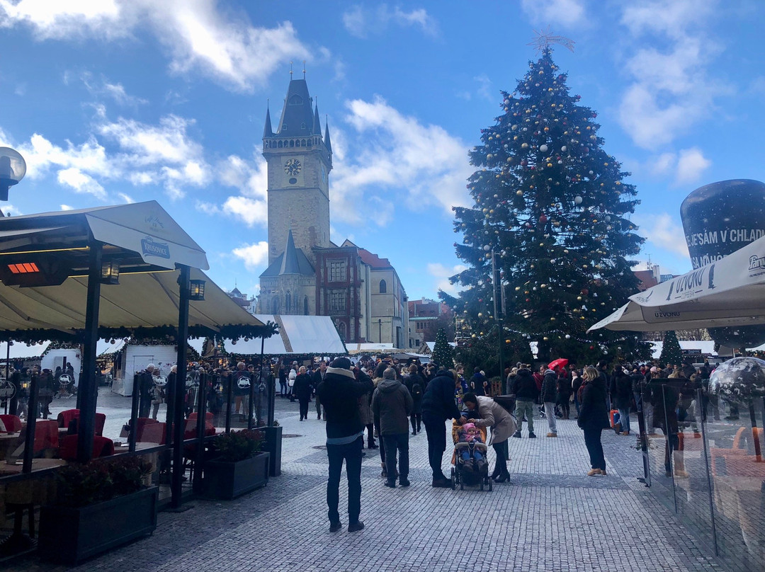 Eva Prague Tours景点图片
