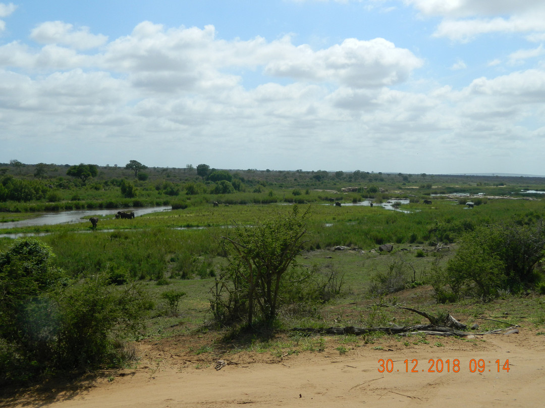 Moyo Wa Tandala Safari景点图片