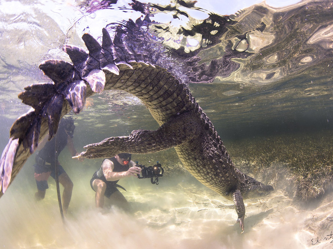 SDM adventures-Riviera必去景点