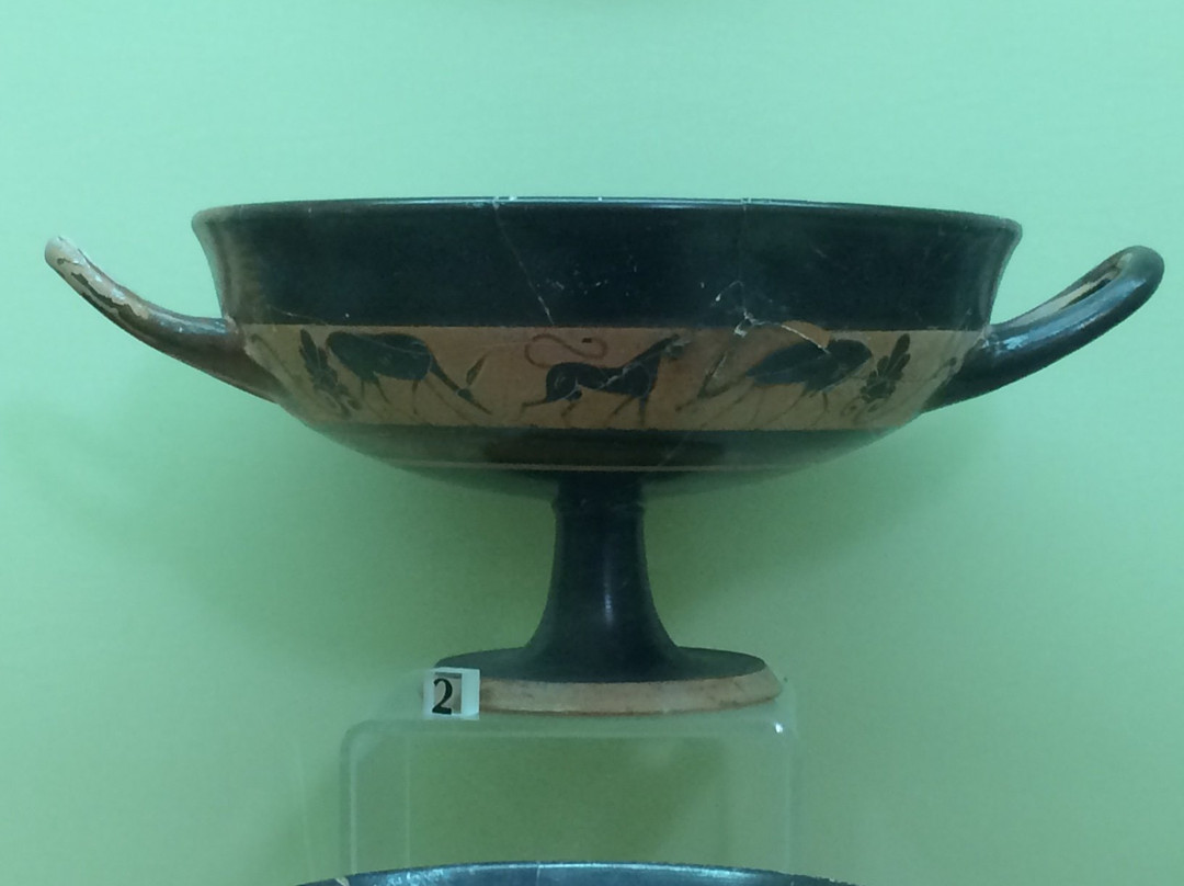 Marion - Arsinoe Archaeological Museum-城邦必去景点