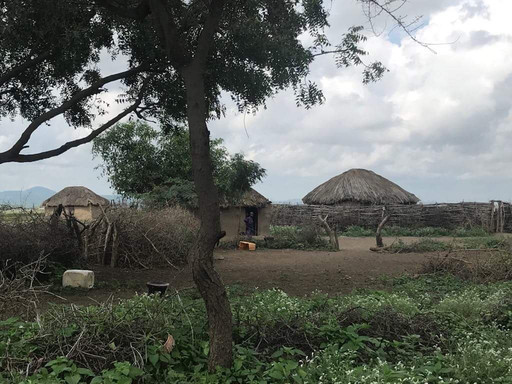 Tarry Adventures and Safaris-莫西必去景点