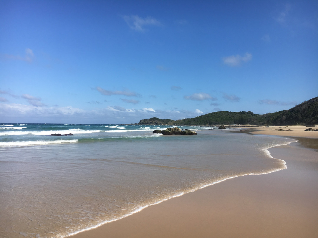 Shelly Beach-麦克夸利港必去景点