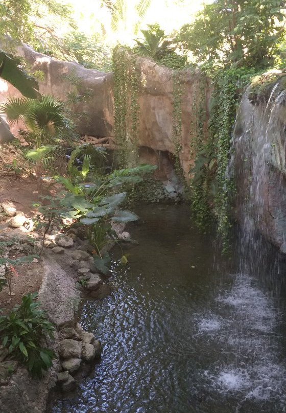 Zoologico Payo Obispo-切图马尔必去景点