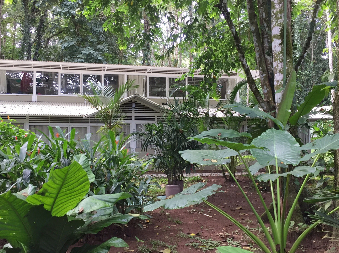 Jaguar Inn Bungalows主图