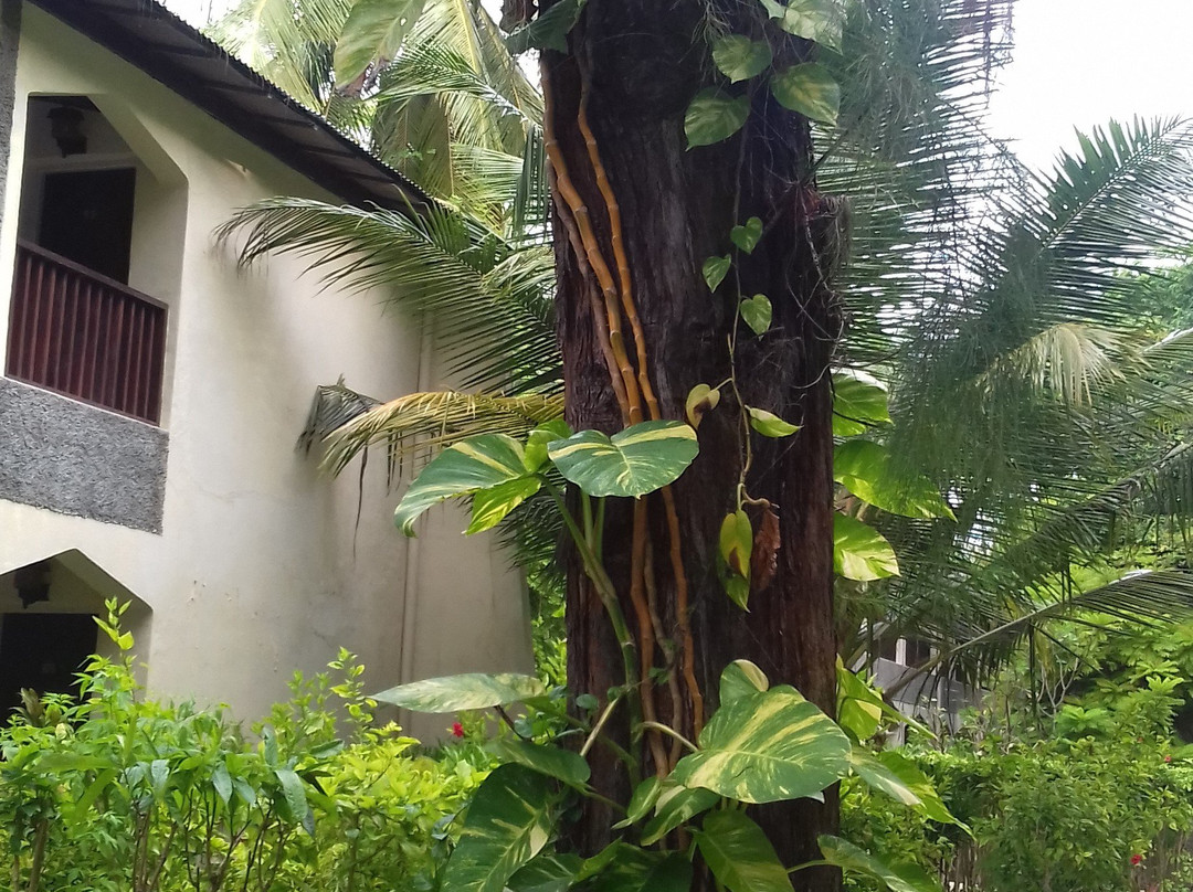 比亚户岛度假村主图