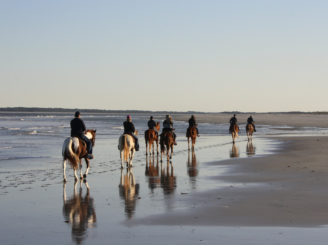 Kelly Seahorse Ranch-阿米莉亚岛必去景点
