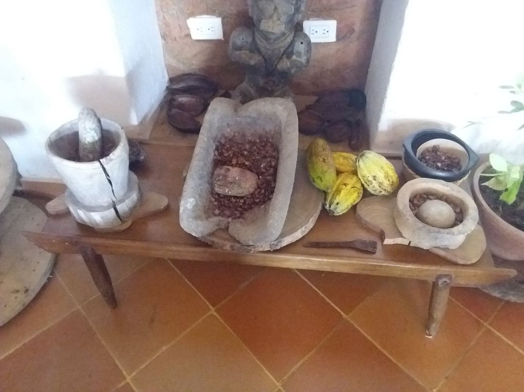 Museo del Cacao de Minca景点图片