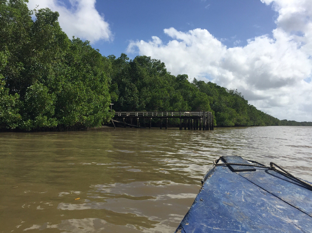 Cardy Adventures & Bike Rental-帕拉马里博必去景点