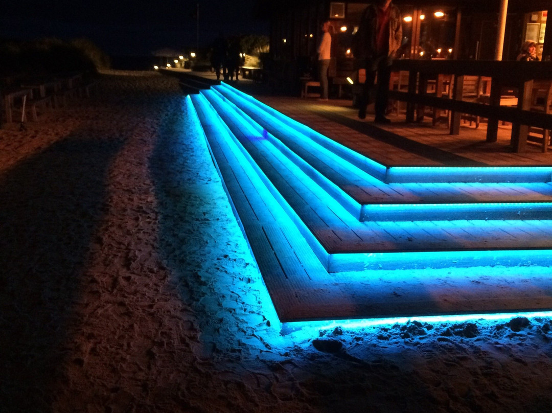 HERBARIUM Bar-哥廷根必去景点