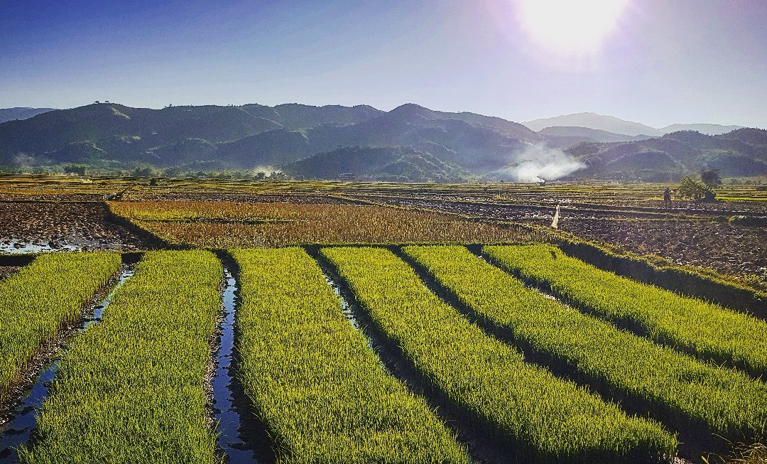 Hill Tribe Village景点图片