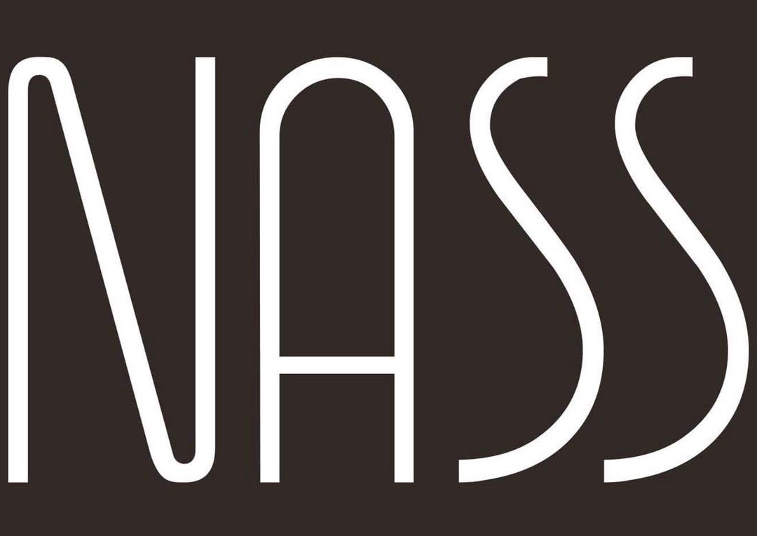 NASS Pinar del Lago主图