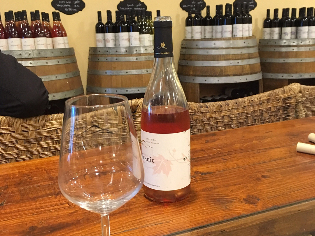 Har Odem Winery-Odem必去景点