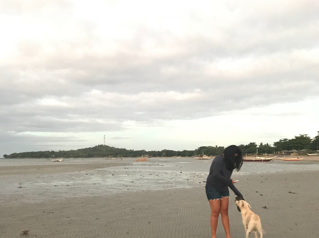 Red Mandarin Resort主图