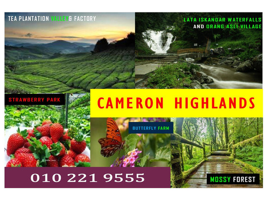 ASIAN LIFE TRAVEL-巴生必去景点