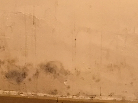 深圳翡翠假日酒店(罗湖口岸店)主图