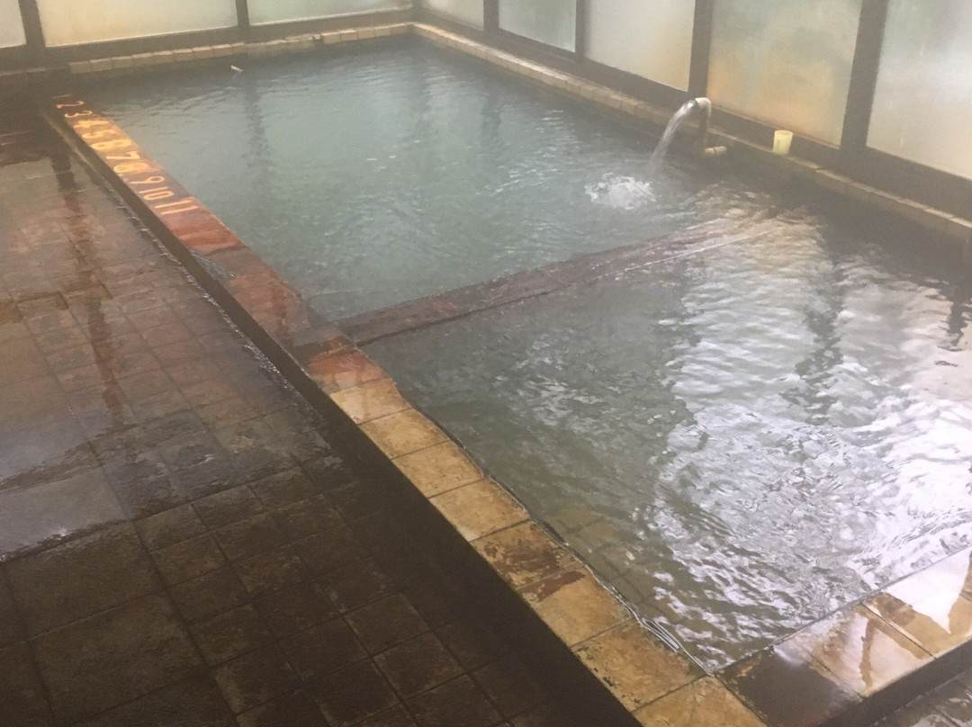 Michinoku Fukazawa Onsen主图