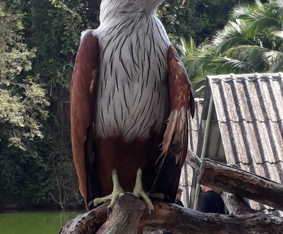 Trad Cycling Tours-桐艾必去景点
