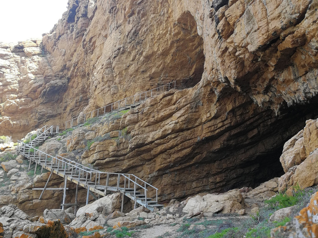 Point of Human Origins-莫塞尔贝必去景点