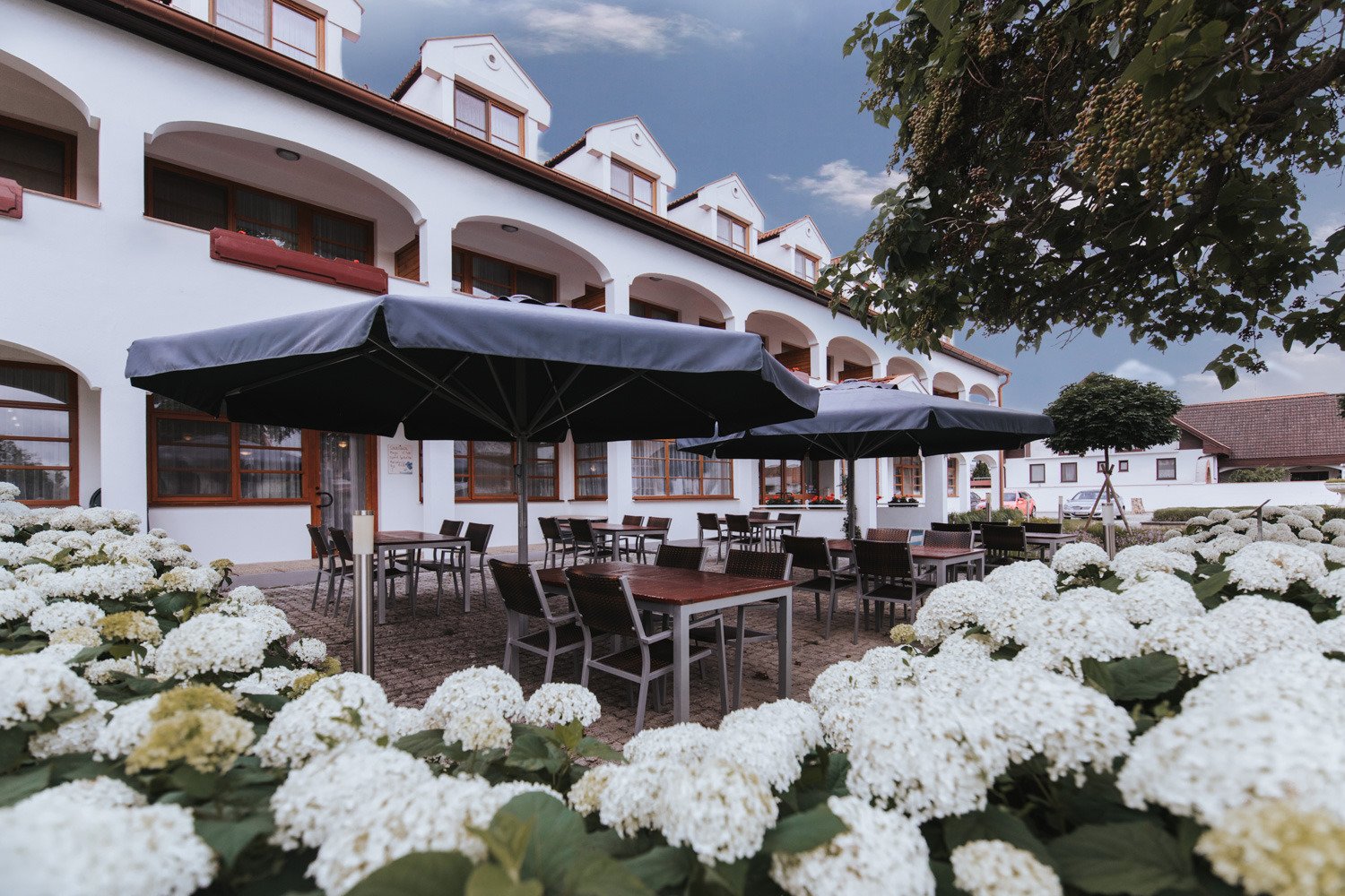 Hotel Mörbischerhof-官方
