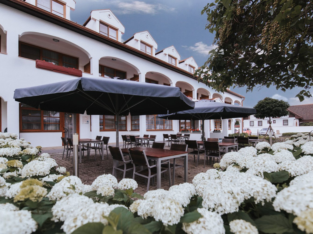 Mörbisch酒店住宿-Hotel Morbischerhof