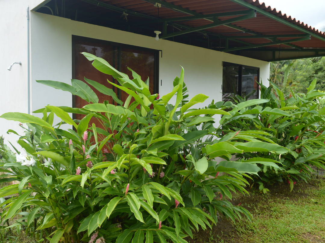 Canto del Mar Guest House and Botanical Garden主图